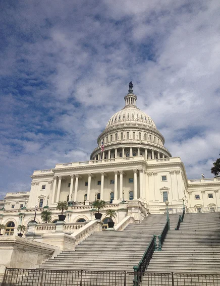 Why Washington DC Chooses ZealsTECH